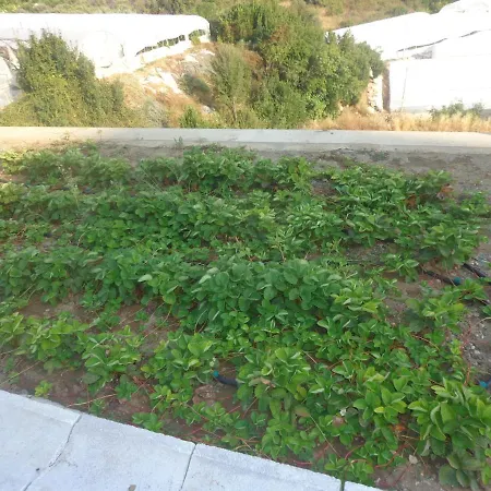 Отель типа 