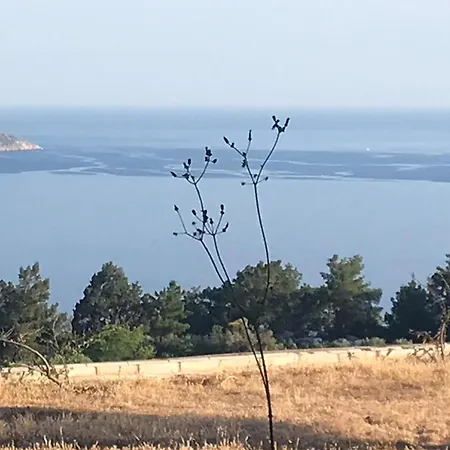 Ciftlik Tepesi Pansiyon Отель типа 
